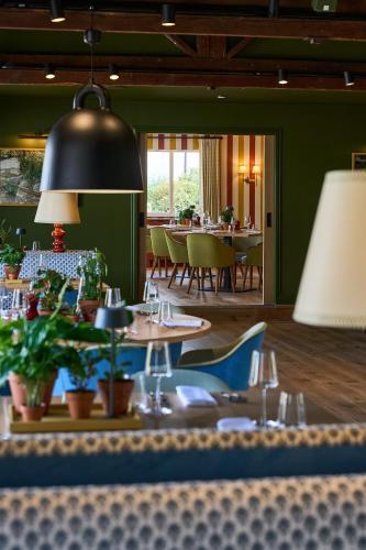 mad swans in the mendips