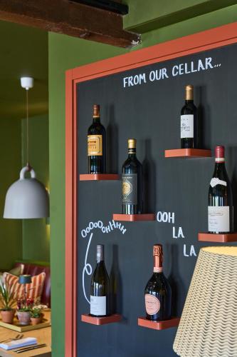 mad swans in the mendips