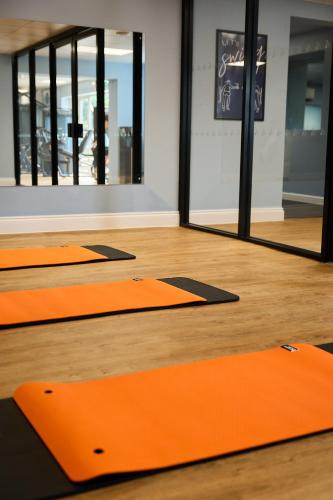 mad swans in the mendips