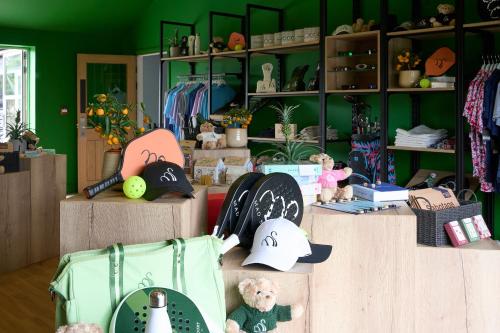 mad swans in the mendips