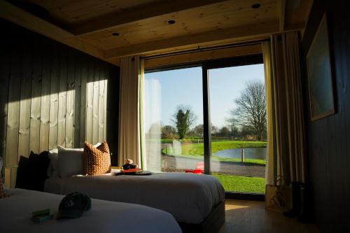 mad swans in the mendips