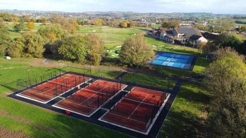 mad swans in the mendips
