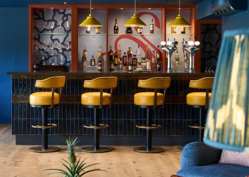 mad swans in the mendips