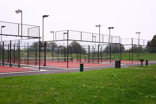 mad swans in the mendips