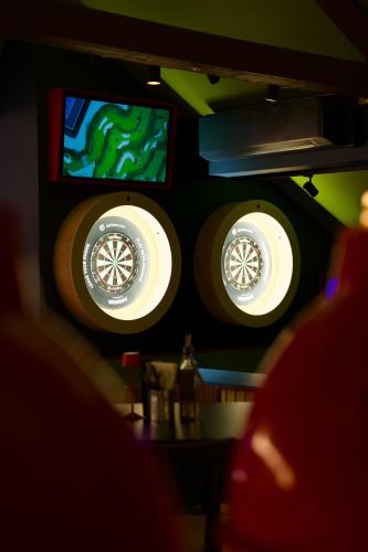 mad swans in the mendips