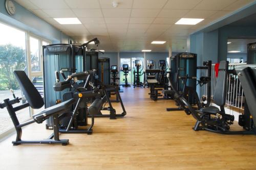 mad swans in the mendips