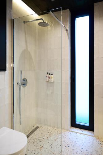 mad swans in the mendips