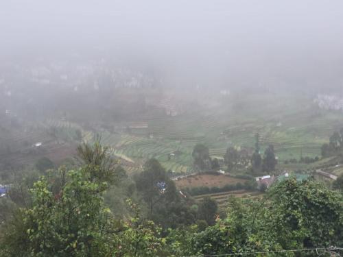 glen mist