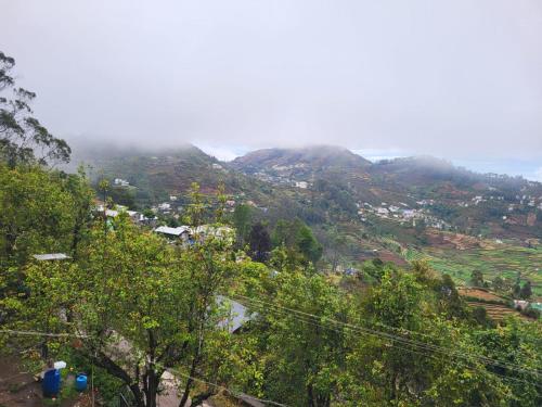 glen mist