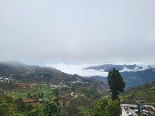 glen mist