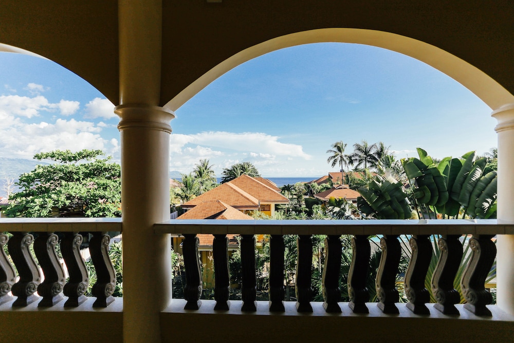turtle bay dive resort