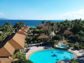 turtle bay dive resort