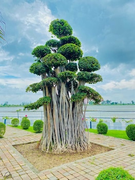 evaara by the ganges