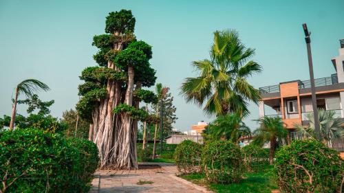 evaara by the ganges