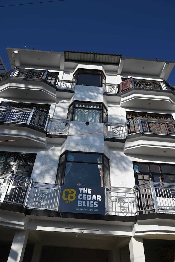 the cedar bliss