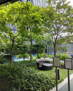 star klcc by super suite