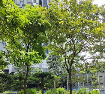 star klcc by super suite