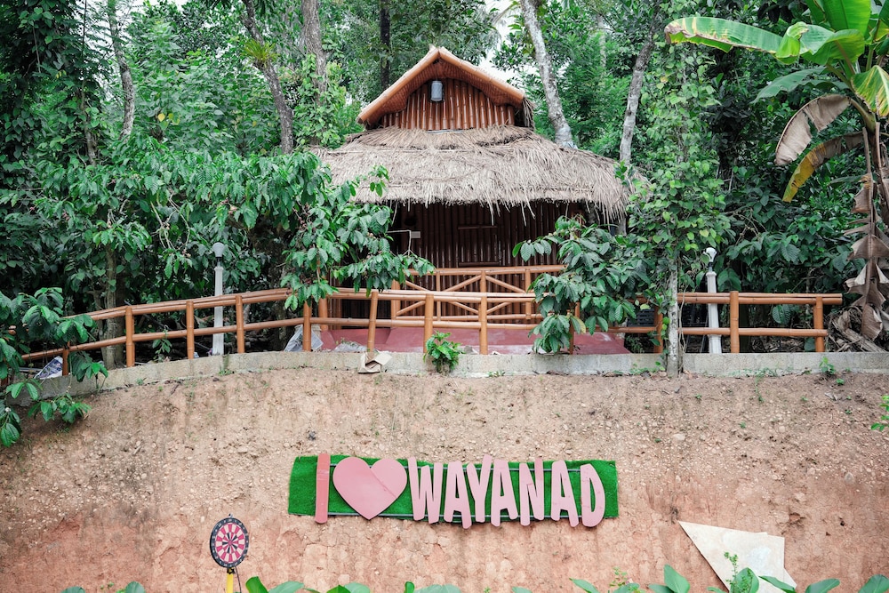 wayanad vista palm view homes