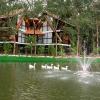 wayanad vista palm view homes