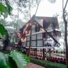 wayanad vista palm view homes