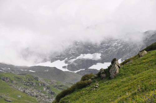 hotel chandrabhaga pangi valley