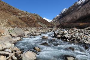 hotel chandrabhaga pangi valley