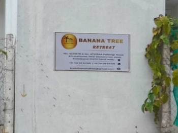 banana tree retreat