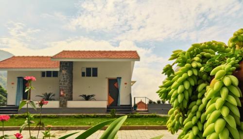 banana tree retreat