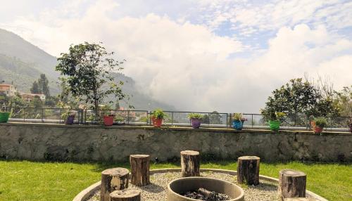 banana tree retreat