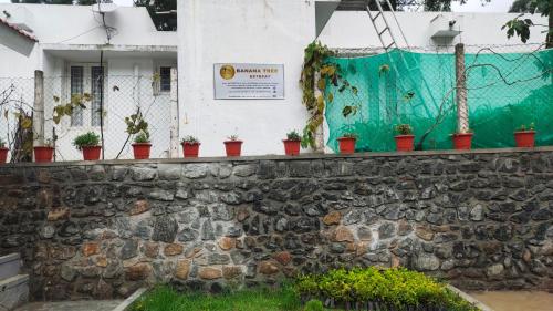 banana tree retreat