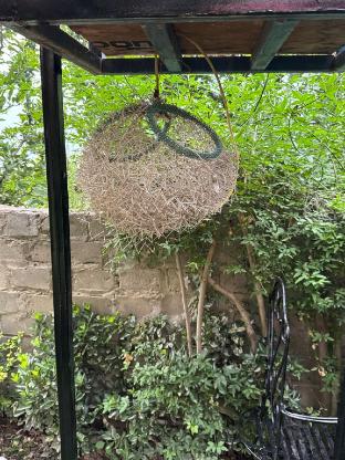 mountain shepherds cottage