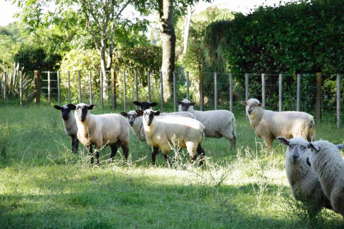 somersal bed and breakfast