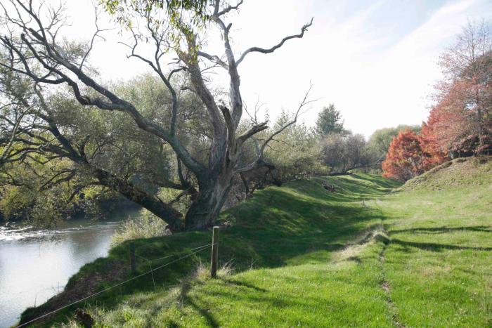 somersal bed and breakfast