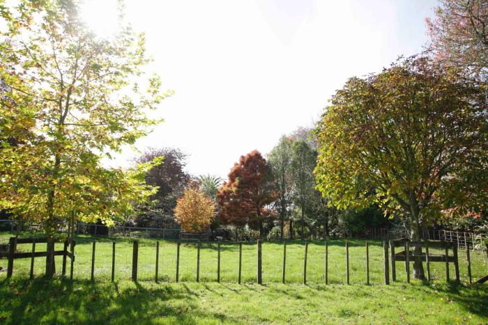 somersal bed and breakfast