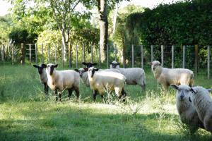 somersal bed and breakfast