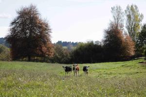 somersal bed and breakfast