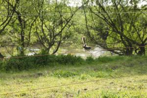 somersal bed and breakfast