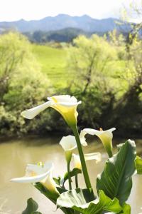 somersal bed and breakfast