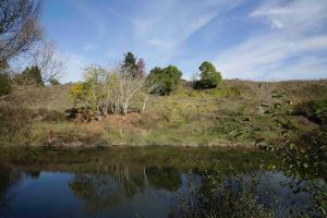 somersal bed and breakfast