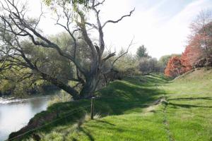 somersal bed and breakfast