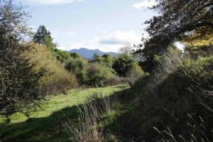 somersal bed and breakfast