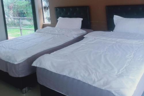 phra chan khiang dao resort