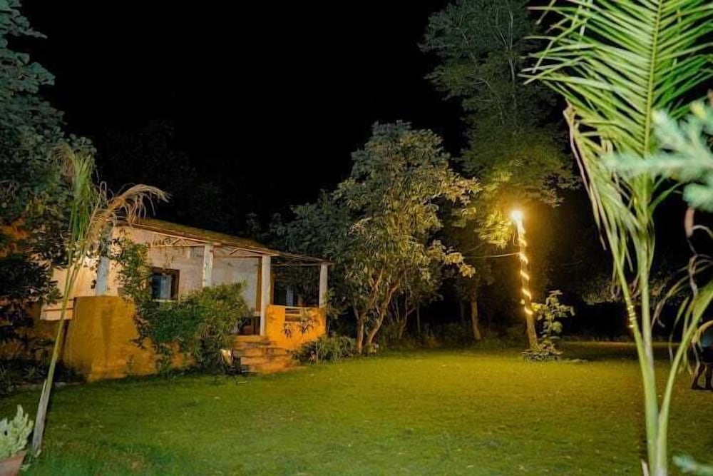 the jungle woods resort