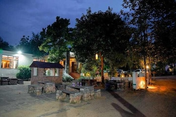 the jungle woods resort