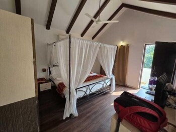 the jungle woods resort