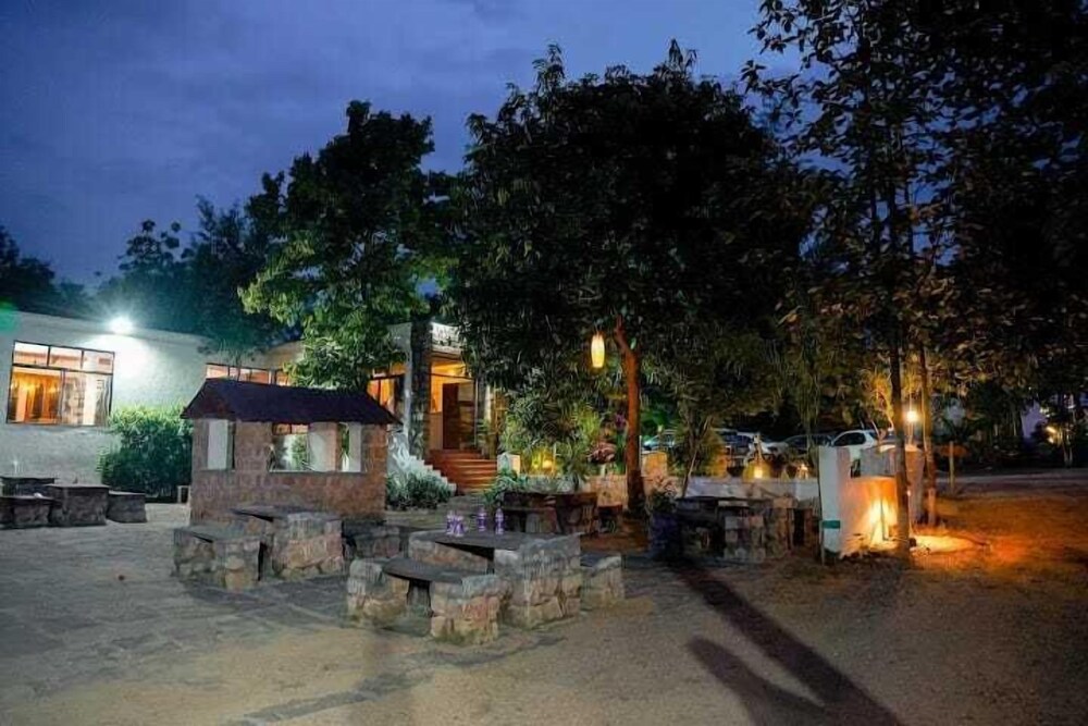 the jungle woods resort