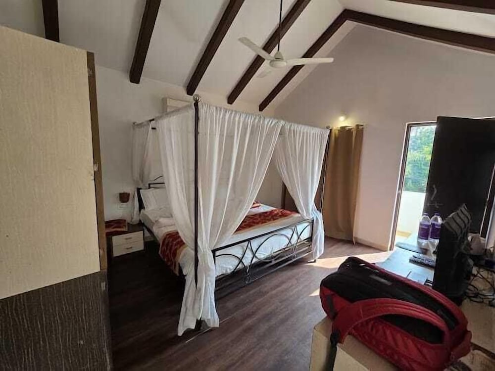 the jungle woods resort