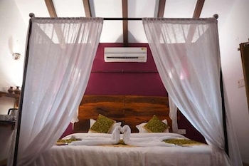 the jungle woods resort