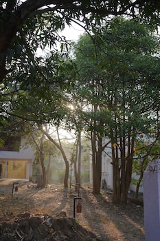 the jungle woods resort