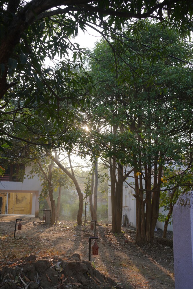 the jungle woods resort